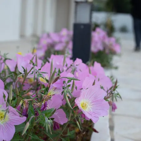 Eukalyptos 3bd With Yard In Chersonisos * הרסוניסוס