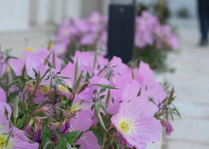 Eukalyptos 3bd With Yard In Chersonisos * Hersonissos (Crete)